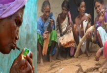 NFHS के आंकड़ों से खुली छत्तीसगढ़ की तस्वीर! ग्रामीण महिलाएं तंबाकू और शराब सेवन में आगे, बढ़ाई चिंता