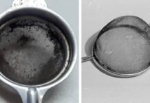 Kitchen Tips: चाय की छन्नी के बंद छेद मिनटों में होंगे साफ, बिना रगड़े अपनाएं ये आसान ट्रिक