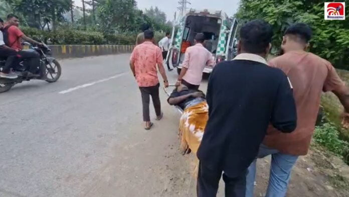 korba