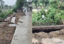 Bhopal News: भारी बारिश के बाद कोलार में धंसी सड़क, जमीन में समाईं 3 गाड़ियां; क्रेन से निकाला बाहर Bhopal News