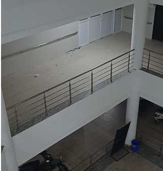 Indore News: जिला अस्पताल में घुसा 5 फीट लंबा जहरीला सांप, प्रसूता वार्ड के पास मची अफरा-तफरी
