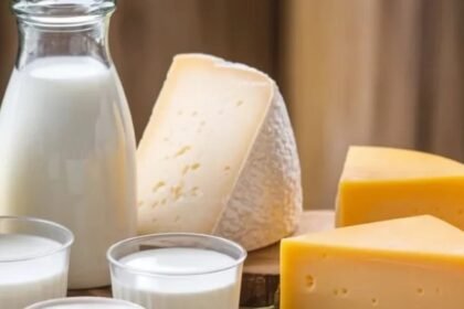 Bilaspur Dairy Sample Fail:
