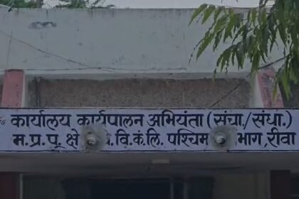 Rewa News: