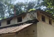 Mungeli News: कागजों में विकास, जमीन पर खंडहर! ब्रिटिशकालीन रेस्टहाउस की बदहाली ने खोली विभागीय व्यवस्था की पोल Mungeli News