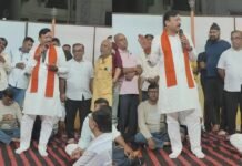 Barwani MP Gajendra Patel Remarks: ‘हम दो, हमारे पांच’, बड़वानी सांसद गजेंद्र पटेल ने हिंदुओं को कम से कम 5 बच्चे पैदा करने की दी सलाह