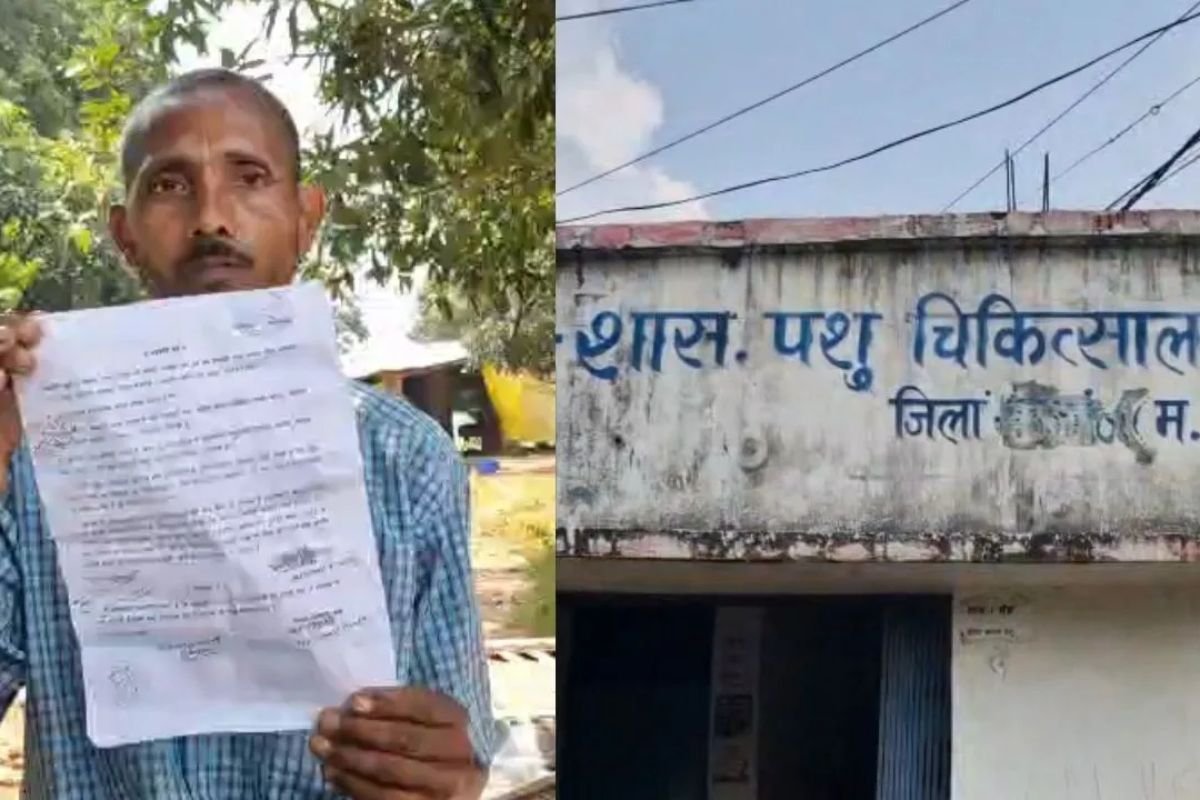 Pati Nahi Jewar Chahiye: ‘जब तक गहने वापस नहीं आएंगे, घर नहीं लौटूंगा’… रीवा में दो भैंसों के चक्कर में कैसे बिखर गया हंसता-खेलता परिवार!