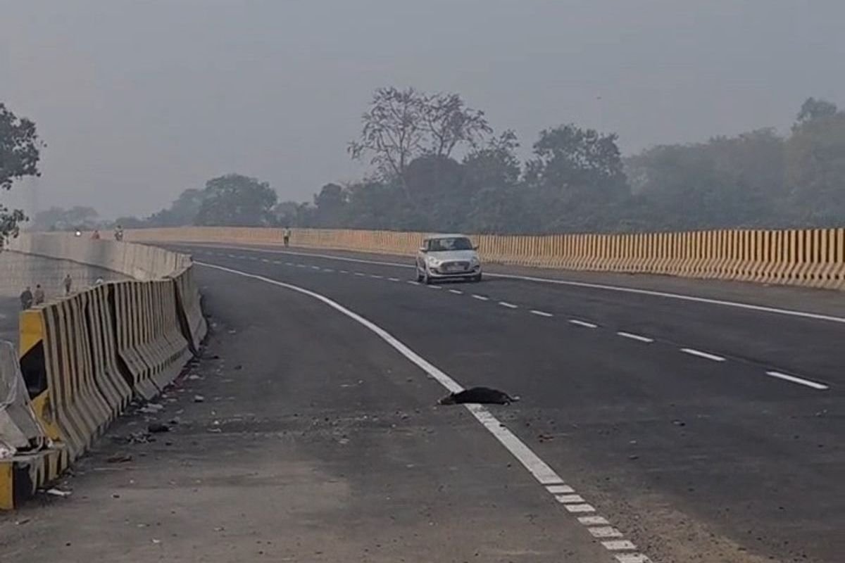 NHAI Penalty on Agency: कटघोरा-अंबिकापुर राष्ट्रीय राजमार्ग -130 पर दुर्घटना प्रबंधन में लापरवाही, एनएचएआई ने एजेंसी पर ठोका 10 लाख का जुर्माना