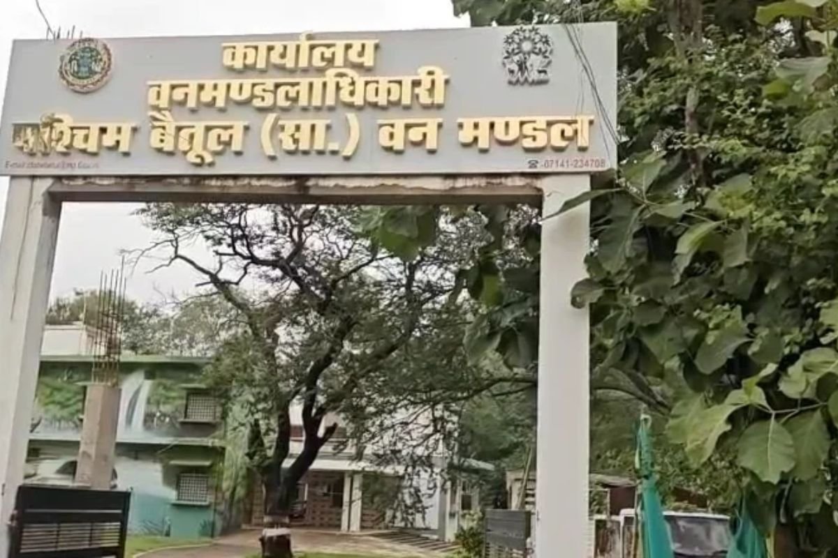 Betul Green India Mission Scam: पश्चिम वन मंडल में पौधारोपण के नाम पर बड़ा फर्जीवाड़ा, कागजों में लहलहाए पौधे और जमीन पर उगी सिर्फ घास