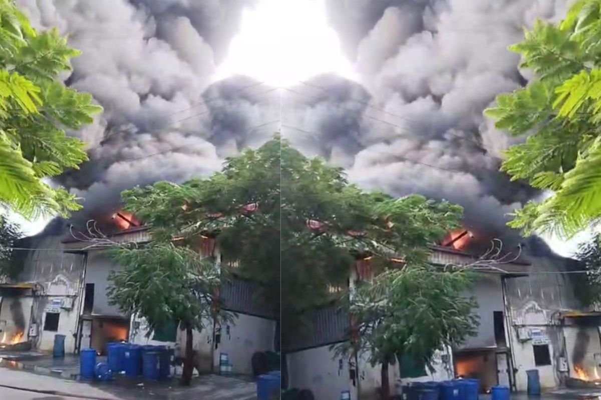 Beta Industrial Park Fire: इंदौर के बीटा इंडस्ट्रियल पार्क में भीषण आग का नया वीडियो आया सामने, दो फैक्ट्रियां जलकर खाक