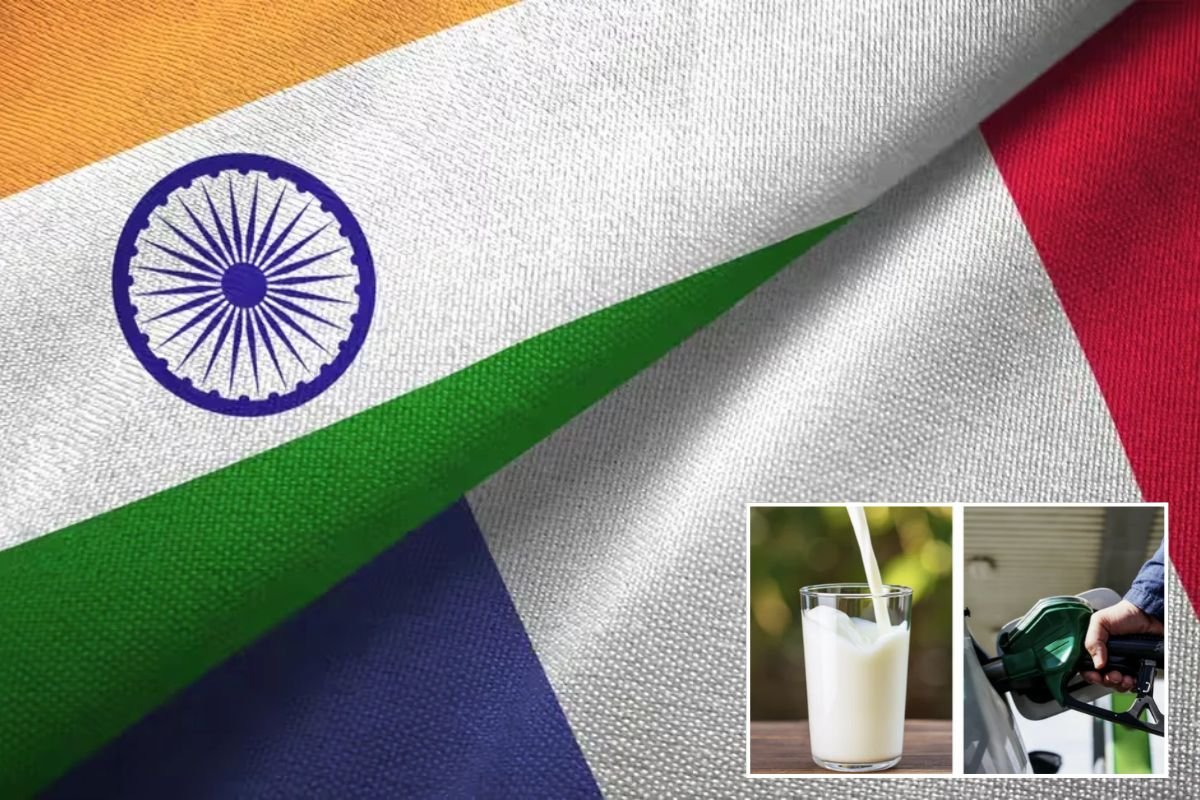 India Vs France Cost Of Living: भारत और फ्रांस में कहां रहना है ज्यादा महंगा? दूध, पेट्रोल और किराए की तुलना उड़ा देगी होश