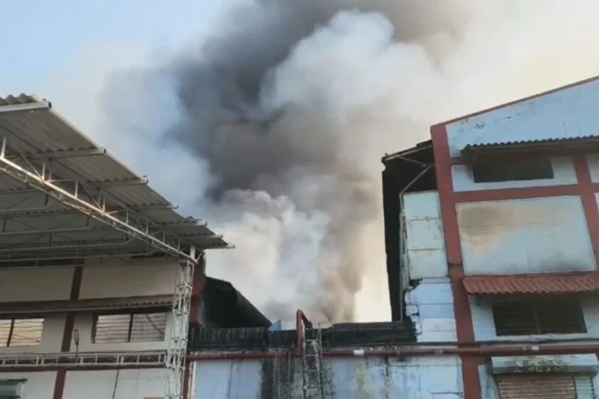 Jabalpur Parle Biscuit Factory Fire: रिछाई इंडस्ट्रियल एरिया में भीषण आग से मचा हड़कंप, कई किलोमीटर दूर तक दिखा धुएं का काला गुबार