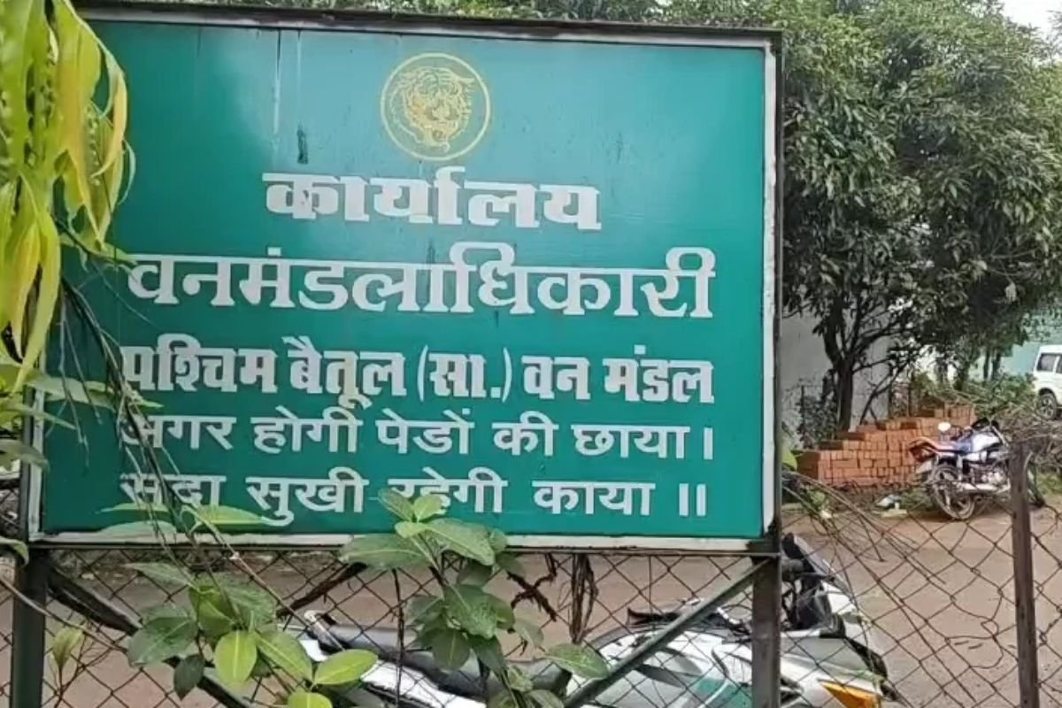 Betul Forest Department Scam: पश्चिम वन मंडल में भ्रष्टाचार का बड़ा खेल! आदिवासियों से 30 दिन काम करवाकर दिया जा रहा 15 दिन का वेतन