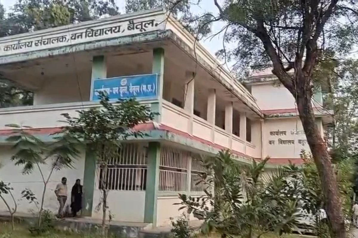 Betul Forest Division Irregularities: पुराने नाकों की कीमती लकड़ी गायब, डिप्टी रेंजर पर गंभीर आरोप