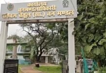Betul Forest Department Action: बैतूल के पश्चिम वन मंडल में अवैध रेत परिवहन पर कार्रवाई, तीन बिना नंबर के ट्रैक्टर जब्त कर राजस्व को सौंपा मामला