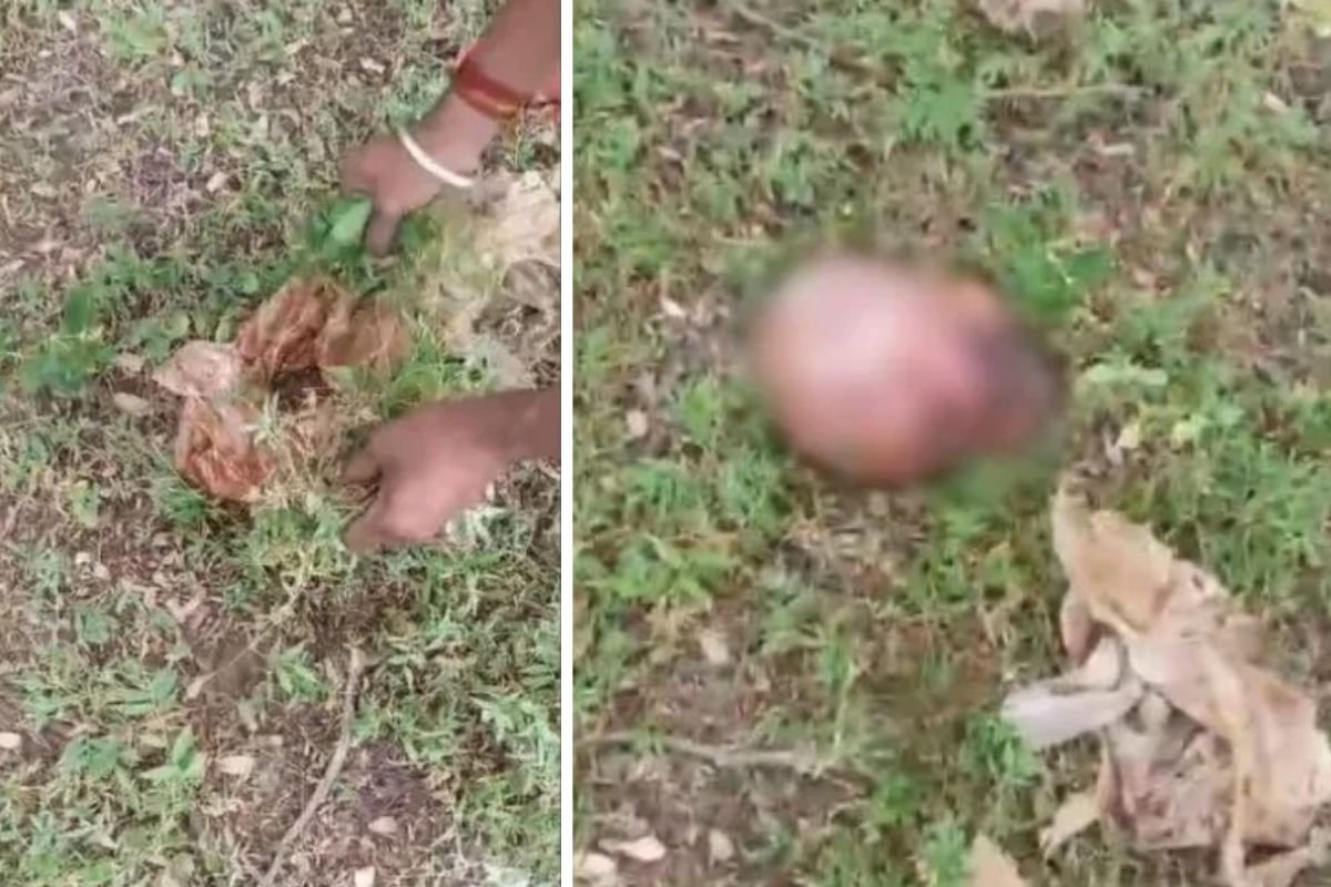 Durg Human Head Found Case: दुर्ग में सेप्टिक लाइन सफाई के दौरान मिला इंसानी सिर, इलाके में सनसनी