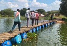 Tikamgarh Bridge Collapse: टीकमगढ़ में 3 साल से क्षतिग्रस्त पड़ी रानीपुरा की पुलिया, ग्रामीण और सरपंच ने मिलकर बनाया देसी जुगाड़ का पुल