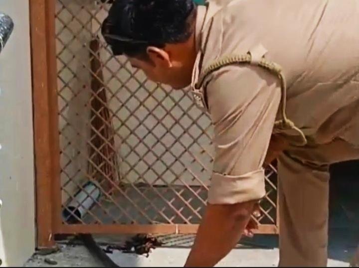 Snake Panic At Mawai Health Center: दो दिनों में दूसरी बार अस्पताल के मुहाने पर दिखा जहरीला कोबरा, मची भगदड़ के बाद बुलाई गई स्पेशल टीम