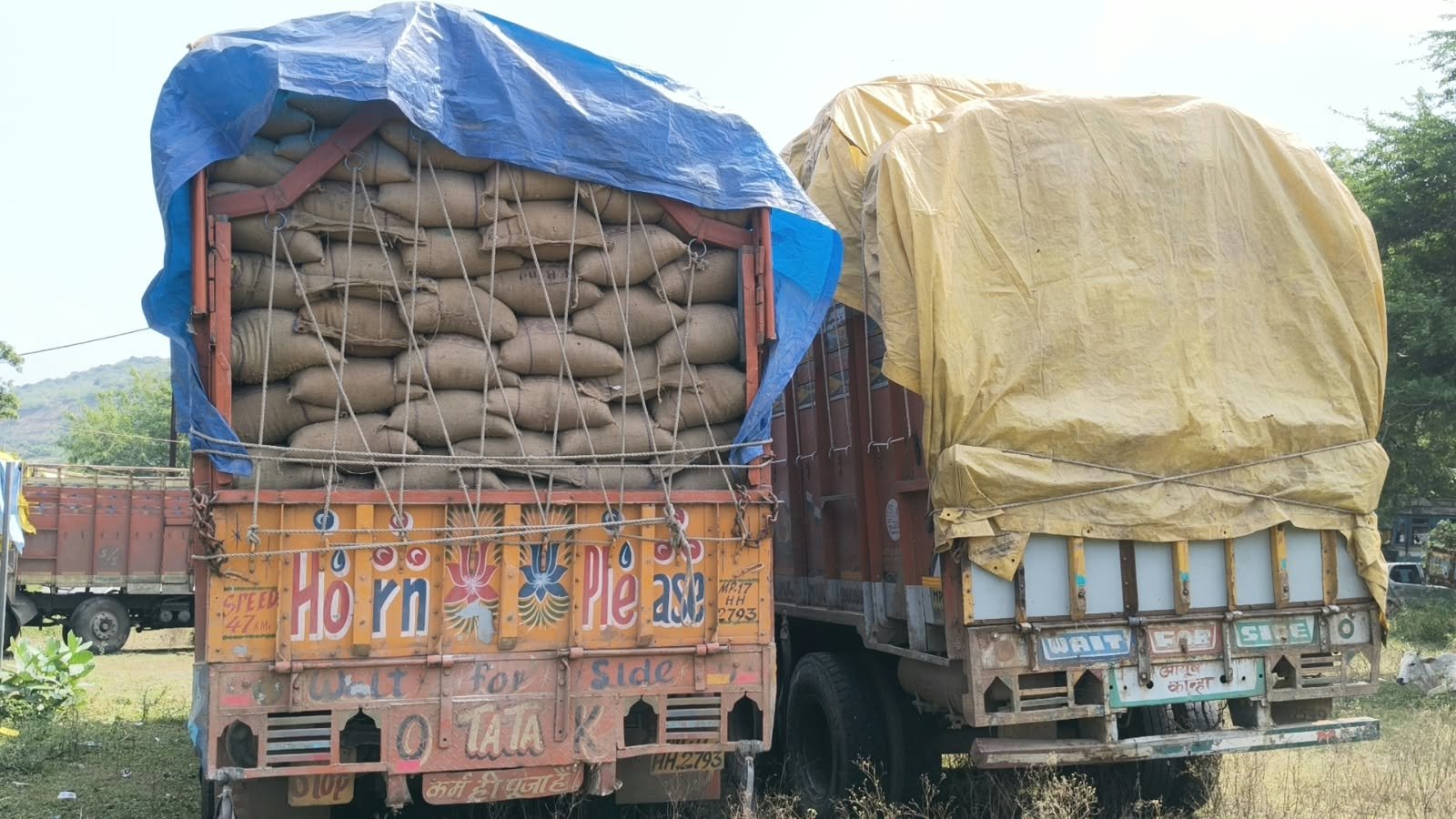 Teonthar Administrative Crackdown: त्योंथर में धान परिवहन पर बड़ा एक्शन! एसडीएम राकेश चौरसिया की कार्रवाई से मचा हड़कंप