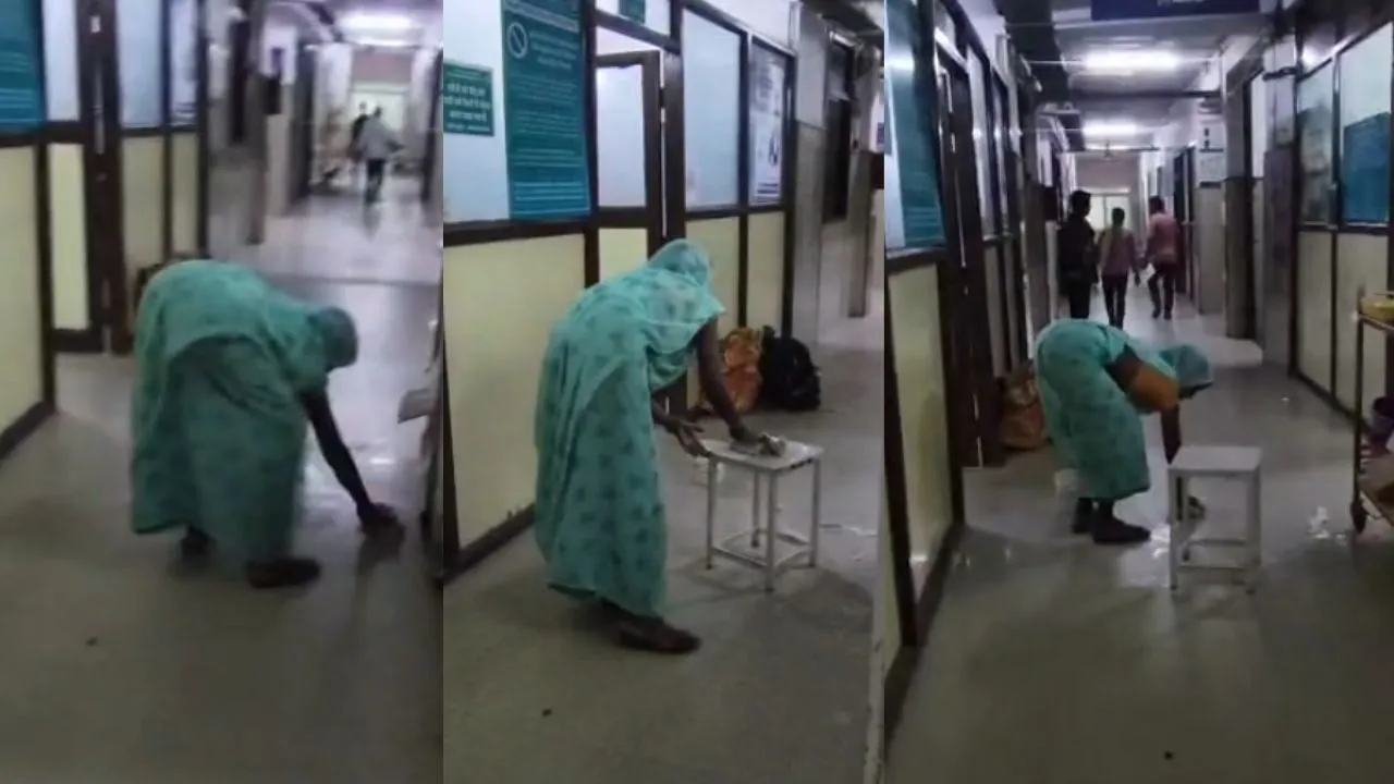 Barwani Brij Vihar Colony Shocking Incident: बड़वानी में मानवता शर्मसार, आवारा कुत्ता मुंह में 5 महीने के नवजात शिशु का भ्रूण दबाकर घूमता रहा