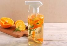 Tips and Tricks: कमरे की बदबू से हैं परेशान? घर की इन चीजों से बनाएं खुशबूदार नेचुरल फ्रेशनर, खर्च भी होगा कम