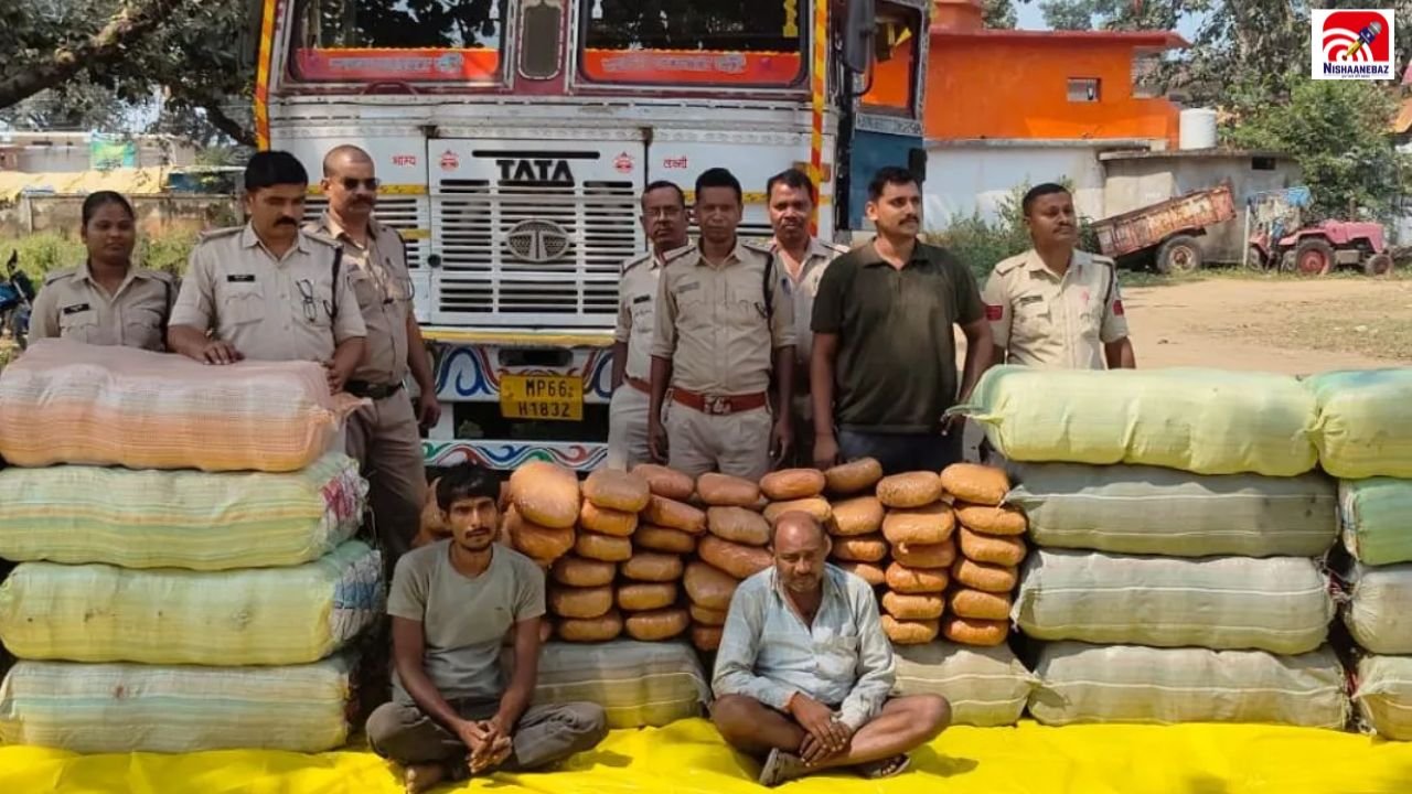 MP Crime: शहडोल में ट्रक से मिला 735 किलो गांजा! पुलिस ने दो आरोपियों को पकड़ा